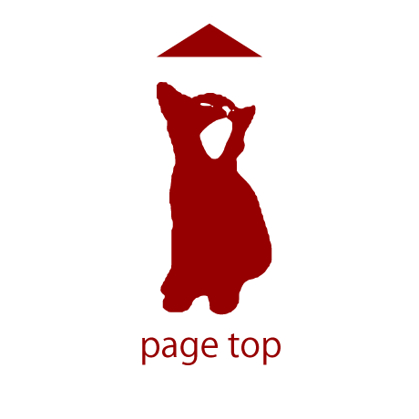 PAGE TOP